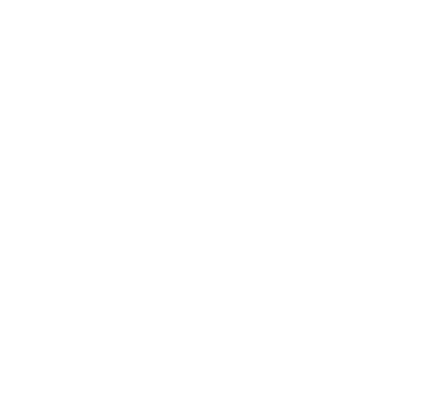Localbusiness Boost – Kunde von specialpage.ch